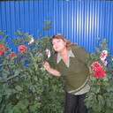  ,   , 65 ,   c 