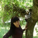 ���������� ������, ���� ������� �����, 43 ����, ������������ ��� ����� � ���������, c�������� ���������