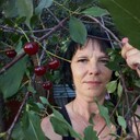 ���������� ����-�����������, ���� ������� �����, 45 ���, ������������ ��� ����� � ���������, c�������� ���������