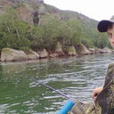 ���������� ������, ���� ������� �����, 37 ���, ������������ ��� ������, ����� � ���������, c�������� ���������