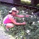 ���������� ��������, ���� ������� ���, 65 ���, ������������ ��� ������, ����� � ���������, c�������� ���������