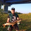 ���������� ������, ���� ������� �����, 41 ���, ������������ ��� ����� � ���������, c�������� ���������