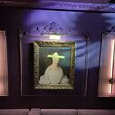 ���������� ������, ���� ������� ������, 41 ���, ������������ ��� ������, ����� � ���������