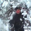  ,   , 81 ,   ,   , c 