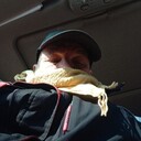  ,   , 58 ,   ,   