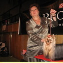 ���������� �������, ���� ������� ���������, 53 ����, ������������ ��� c�������� ���������