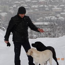  ,   Vseprosto, 43 ,  