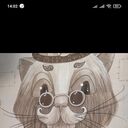 ���������� �����������, ���� ������� �����, 71 ���, ������������ ��� ������, ����� � ���������, c�������� ���������, ���������