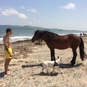 ���������� ������, ���� ������� ˸��, 37 ���, ������������ ��� ������, ���������