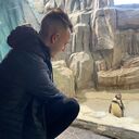 ���������� �������, ���� ������� ������, 26 ���, ������������ ��� ������, ����� � ���������