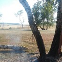 ���������� ������, ���� ������� ��������, 44 ����, ������������ ��� ������, ����� � ���������, c�������� ���������