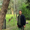  ,   , 33 ,   ,   