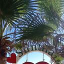 ���������� ������, ���� ������� �������, 51 ���, ������������ ��� ������, ����� � ���������, c�������� ���������