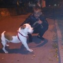 ���������� �����������, ���� ������� ����, 40 ���, ������������ ��� ������, c�������� ���������, ���������