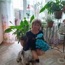  ,   , 55 ,   ,   