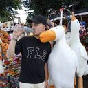 ���������� ������, ���� ����� �����, 24 ����, ������������ ��� ������, ����� � ���������, ���������