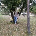 ���������� ����, ���� ������� ����, 58 ���, ������������ ��� c�������� ���������, ���������