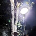 ���������� ������, ���� ������� ������, 45 ���, ������������ ��� ������, ����� � ���������, c�������� ���������