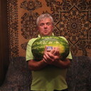 ���������� ������, ���� ������� �������, 56 ���, ������������ ��� ������, ����� � ���������, c�������� ���������, ���������