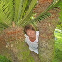   ,   , 55 ,     , c 