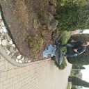  ,   Zahar, 40 ,   ,   