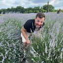 ���������� �����, ���� ������� �����, 32 ����, ������������ ��� ����� � ���������, c�������� ���������