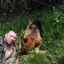 ���������� �������, ���� ������� ������, 38 ���, ������������ ��� ������, ����� � ���������, c�������� ���������