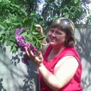 ���������� �����������, ���� ������� �����, 53 ����, ������������ ��� ������, ����� � ���������, c�������� ���������