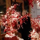 ���������� ������������, ���� ������� �����, 52 ����, ������������ ��� ����� � ���������, c�������� ���������