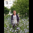  ,   , 48 ,   ,   