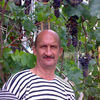  ,   , 71 ,  