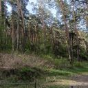 ���������� �����������, ���� ������� �����, 51 ���, ������������ ��� ������, ����� � ���������