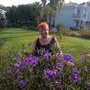 ���������� ������, ���� ������� �������, 66 ���, ������������ ��� ������, ����� � ���������