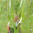  ,   , 62 ,   ,   