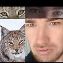 ���������� �����, ���� ������� �����, 37 ���, ������������ ��� c�������� ���������