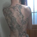  ,   ĸ, 41 ,   , 