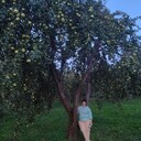 ���������� ������, ���� ������� ����, 52 ����, ������������ ��� c�������� ���������