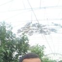 ���������� �������, ���� ������� ������������, 34 ����, ������������ ��� ������, ����� � ���������