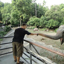 ���������� �����������, ���� ������� �������, 48 ���, ������������ ��� ������, ����� � ���������, ���������