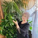 ���������� ����������, ���� ������� �����, 66 ���, ������������ ��� c�������� ���������, ���������