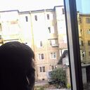 ���������� ������, ���� ������� �����, 33 ����, ������������ ��� ������, ����� � ���������