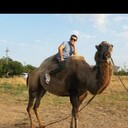 ���������� ���������, ���� ������� �����, 101 ���, ������������ ��� ������, ����� � ���������