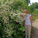  -,   Marina, 59 ,   ,   