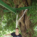 ���������� �����, ���� ������� �����, 49 ���, ������������ ��� ����� � ���������, c�������� ���������