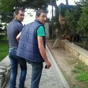  ,   , 36 ,   ,   , c , 