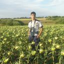 ���������� �������, ���� ������� Vavanich, 37 ���, ������������ ��� ������, ����� � ���������, c�������� ���������