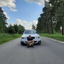 ���������� ������, ���� ������� ����, 34 ����, ������������ ��� ������, ����� � ���������