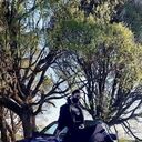 ���������� �����-���������, ���� ������� ������, 25 ���, ������������ ��� ���������