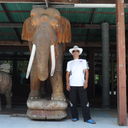 ���������� ������, ���� ������� �����, 50 ���, ������������ 