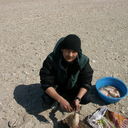 ���������� ������, ���� ������� �����, 46 ���, ������������ 